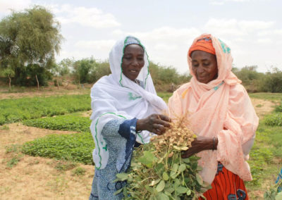 Les productrices d’arachide du groupement Benkadi