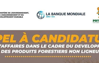 Plans d´affaires dans le cadre du développement durable des produits forestiers non ligneux (PFNL)