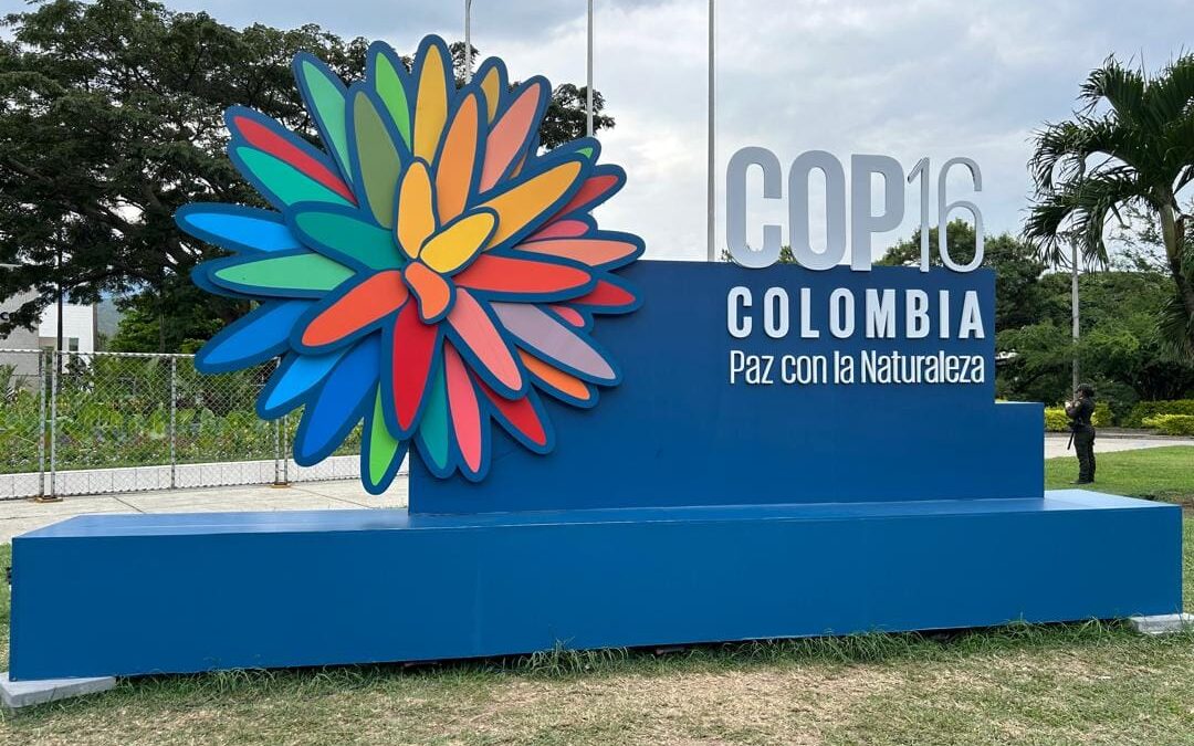 Participation active de la délégation malienne à la COP16 sur la biodiversité à Cali, Colombie.