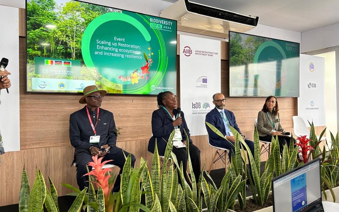 Participation du Mali au Panel organisé par la Banque mondiale lors de la COP16 sur la biodiversité à Cali, Colombie.