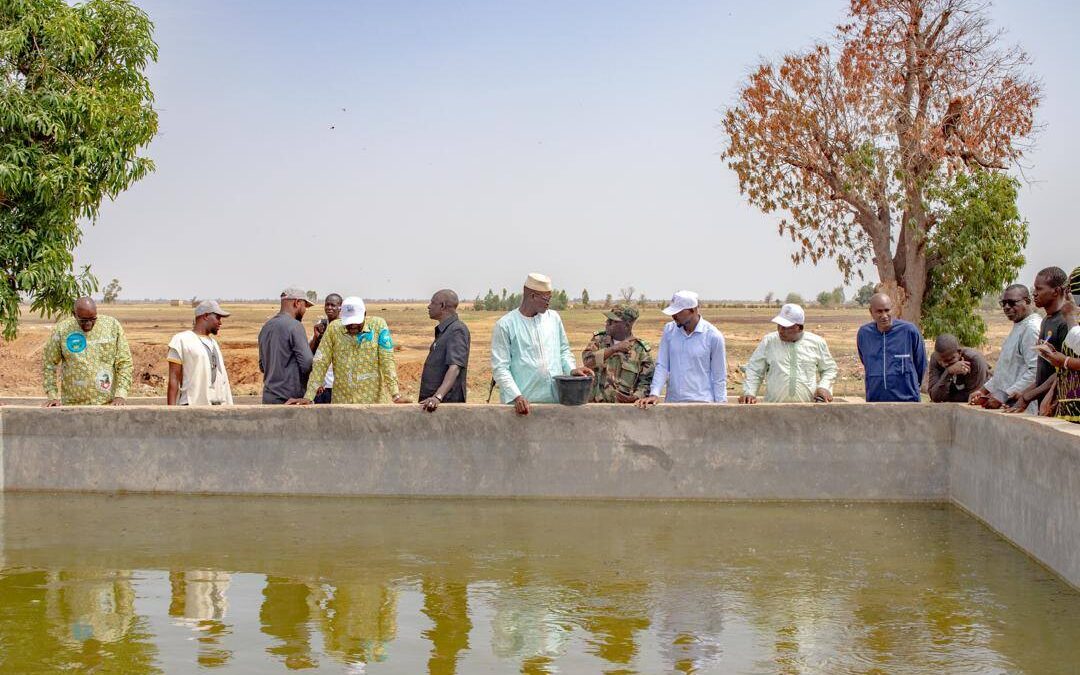 Visite des étangs piscicoles, un appui aux alliances productives.