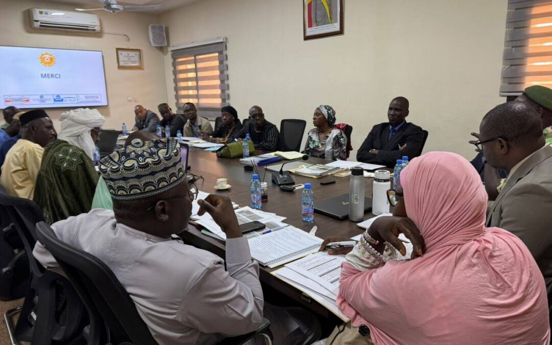 Validation de l’actualisation des études techniques d’Avant-Projets Détaillés de la marre sacrée de Sanké.