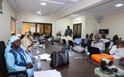 Atelier de Validation des Études APD et NIES du PRTD-Mali.