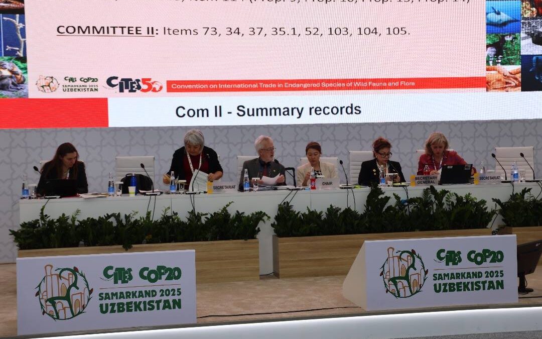 La délégation malienne poursuit sa participation aux travaux de la COP20