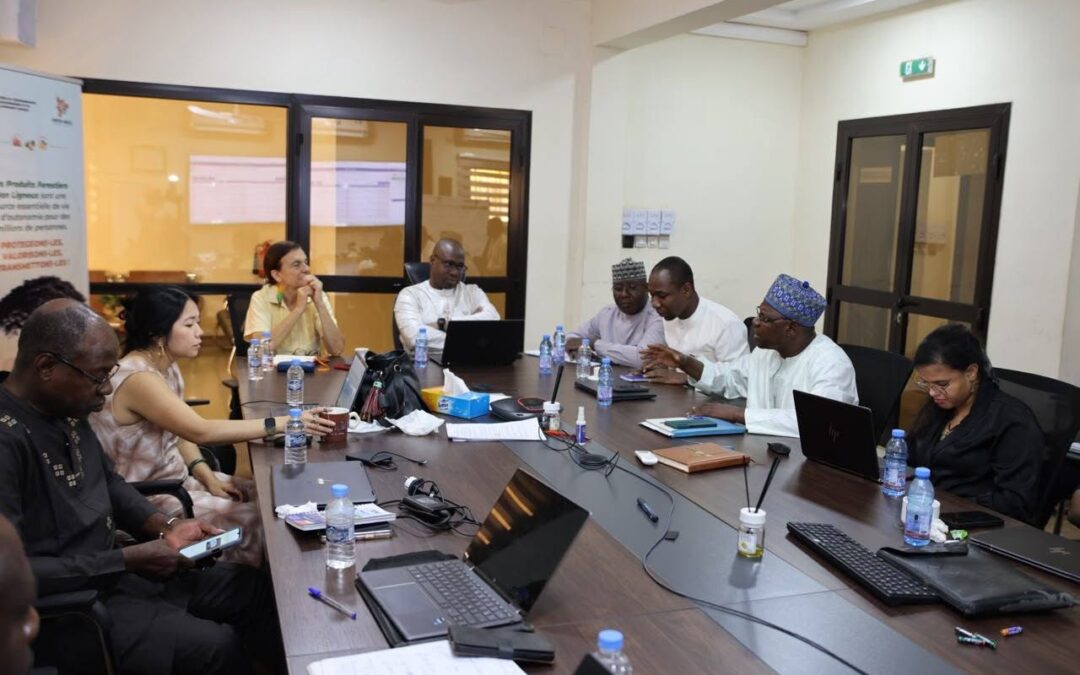 Dans le cadre du suivi des activités, l’équipe de la Banque mondiale a tenu ce jour une session de travail réunissant l’ensemble des partenaires techniques du PRTD-Mali. Cette rencontre a été l’occasion de faire le point sur l’état d’avancement des travaux et des différentes activités menées sur le terrain.