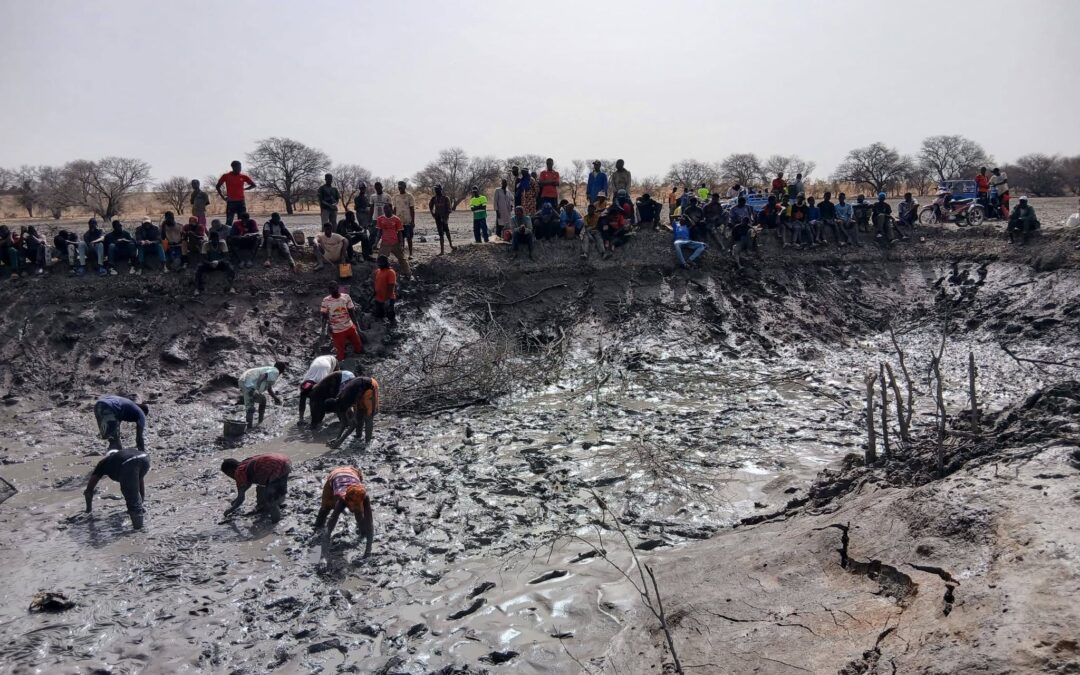 Grâce au PRTD-Mali, la Société Coopérative des Producteurs de Bananes de Kouroukoula (Kayes) a célébré une belle cérémonie de pêche communautaire dans sa mare aménagée et empoissonnée. Une activité qui a mobilisé fortement les populations locales et témoigne de leur engagement en faveur d’une bonne gestion durable des ressources naturelles.