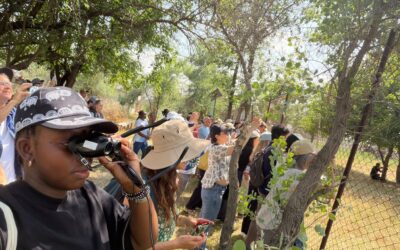 Le Projet de Restauration des Terres Dégradées au Mali (PRTD-Mali) a pris part à la 8e Assemblée du Fonds pour l’Environnement Mondial (FEM), tenue à Samarcande, en République d’Ouzbékistan.