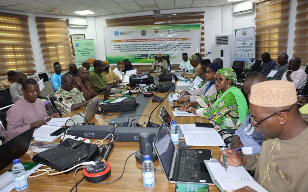 Ce vendredi 24 juillet 2025, l’Agence de l’Environnement et du Développement durable (AEDD) a abrité l’ouverture de l’atelier de consultation sur l’avant-projet de décret portant création et fonctionnement du système national MRV (Mesure, Reportage, Vérification) intégré de la Contribution Déterminée au niveau National (CDN) du Mali.