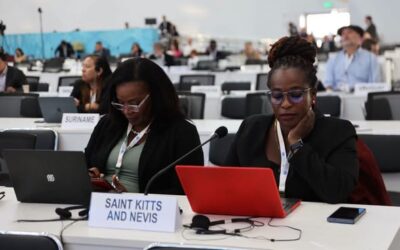 À l’approche de la clôture de la COP17 sur la désertification à Oulan-Bator, madame le Ministre de l’Environnement, de l’Assainissement et du Développement durable, Doumbia Mariam Tangara, a livré sa dernière intervention en séance plénière. Elle a abordé la question de la désertification et rappelé les initiatives déjà engagées par le Mali, dont les actions bénéficient directement à la communauté locale, principalement des femmes et des jeunes.
