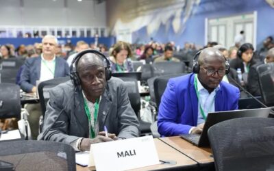 Ce jeudi 22 octobre, dans le cadre de la COP17 de la Convention sur la diversité biologique à Erevan, le Mali a suivi une session consacrée à la communication, à l&rsquo;éducation et à la sensibilisation du public, ainsi qu&rsquo;au centre d&rsquo;échange et à la gestion des connaissances.