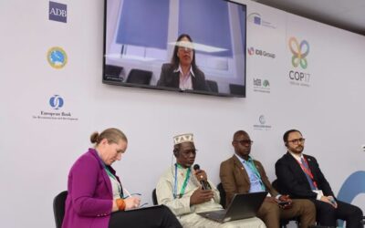 COP17 CDB, Erevan, « Transformer des hectares en emplois ».